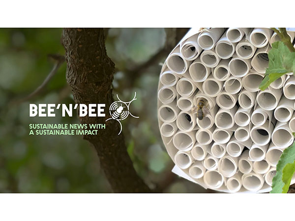 BETC transforms its CSR report into a hotel for bees