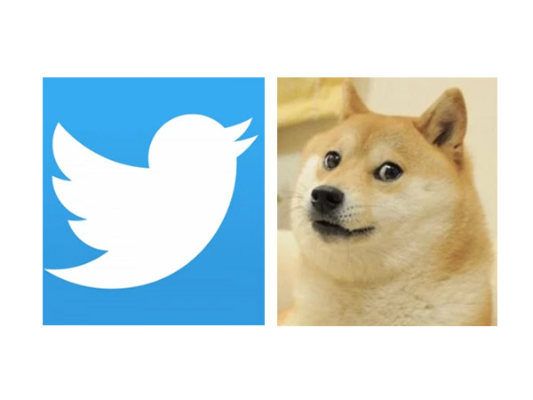 From a bird to a dog, Elon Musk changes Twitter logo with no explanation