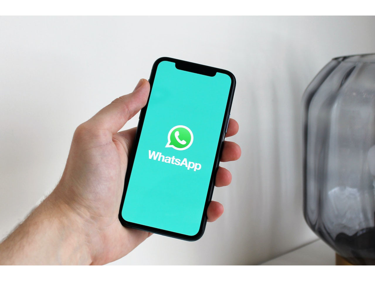 WhatsApp is the favorite platform among social media users